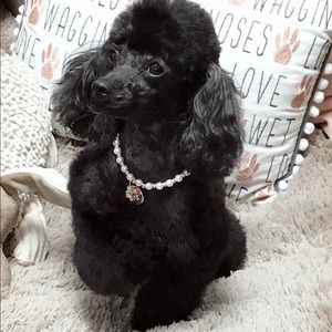 Meet your Posher, Hera